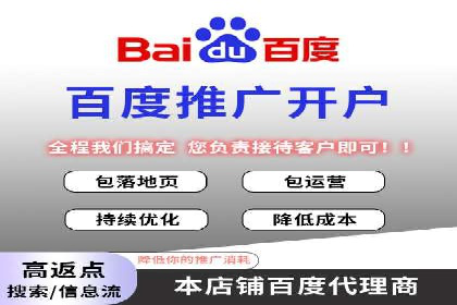 短视频平台的SEM推广实践与效果